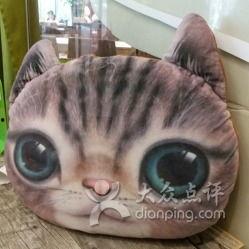 娱乐吃瓜酱胖猫